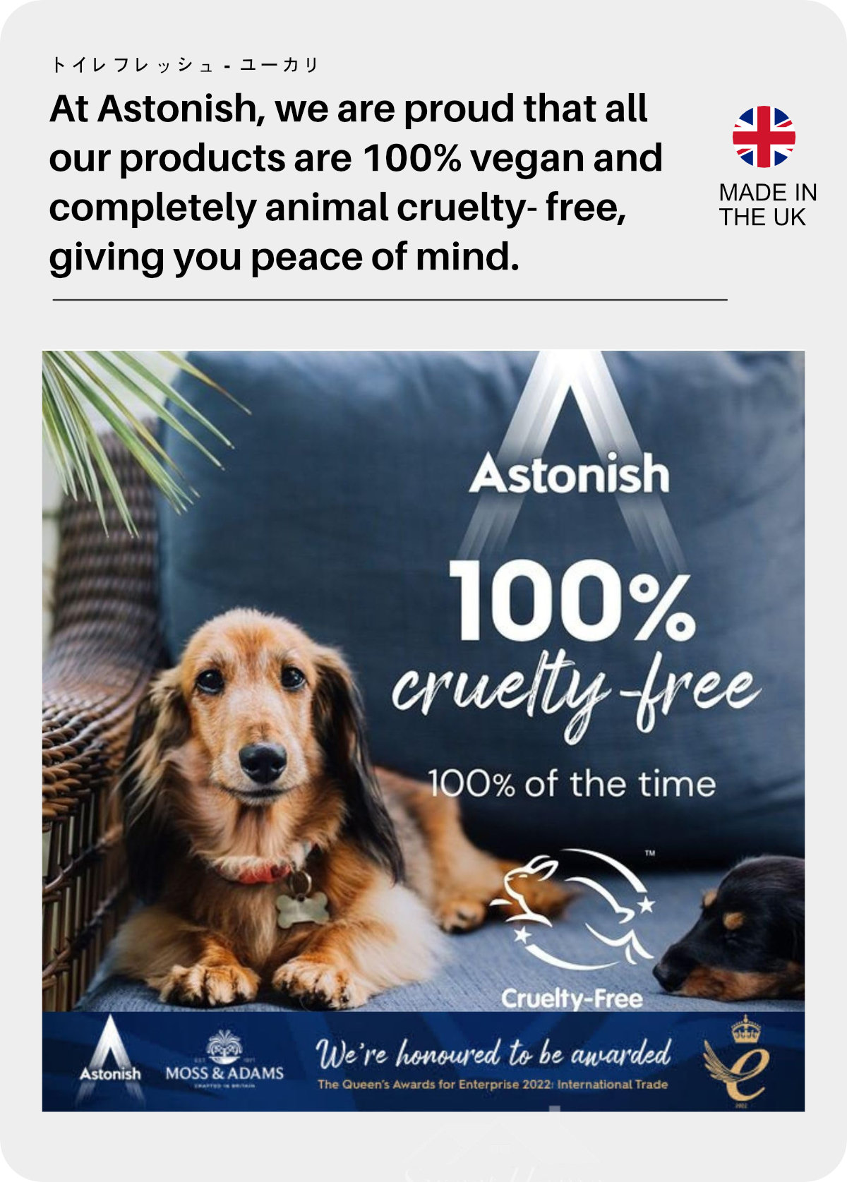 Astonish Toilet Fresh Gel-10